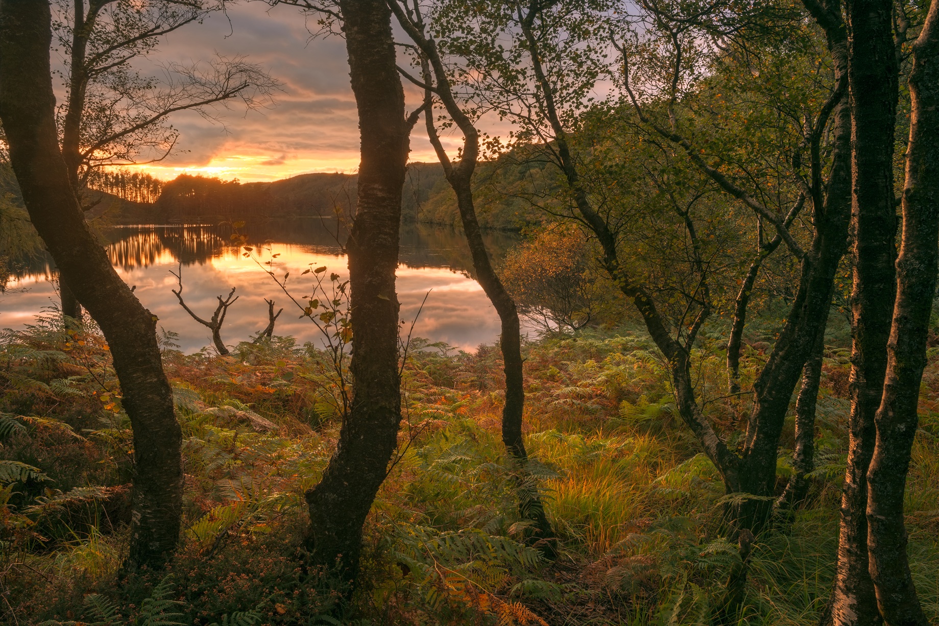 1. Loch Trool Credit Visitscotland Damian Shields