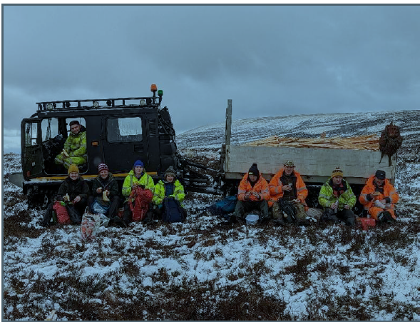 Peatland Image