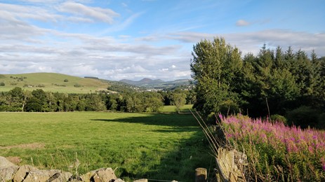 Rural Scotland